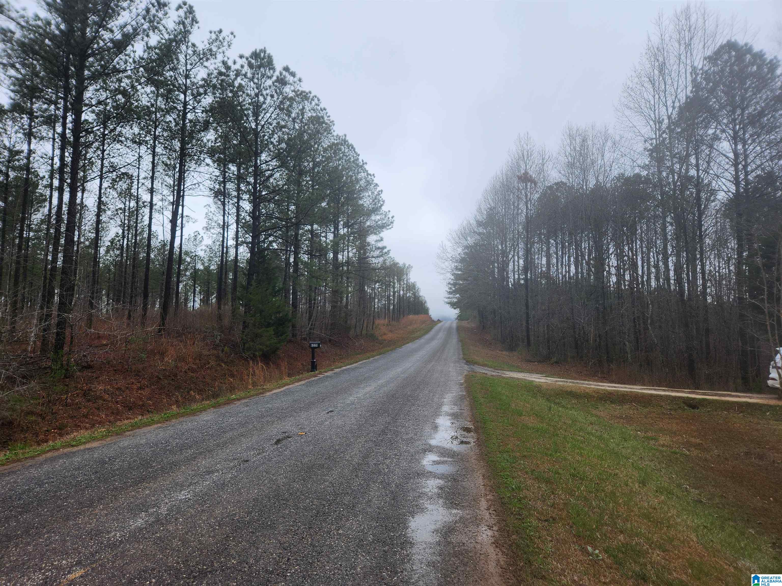 6320 Oak Grove Road Lineville, AL 36266 - Photo 4 of 25 Gallery Image 4