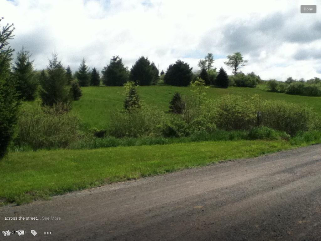 Griffith Road Tyler Hill, PA 18469 - Photo 1 of 15 10 ACRE PARCEL