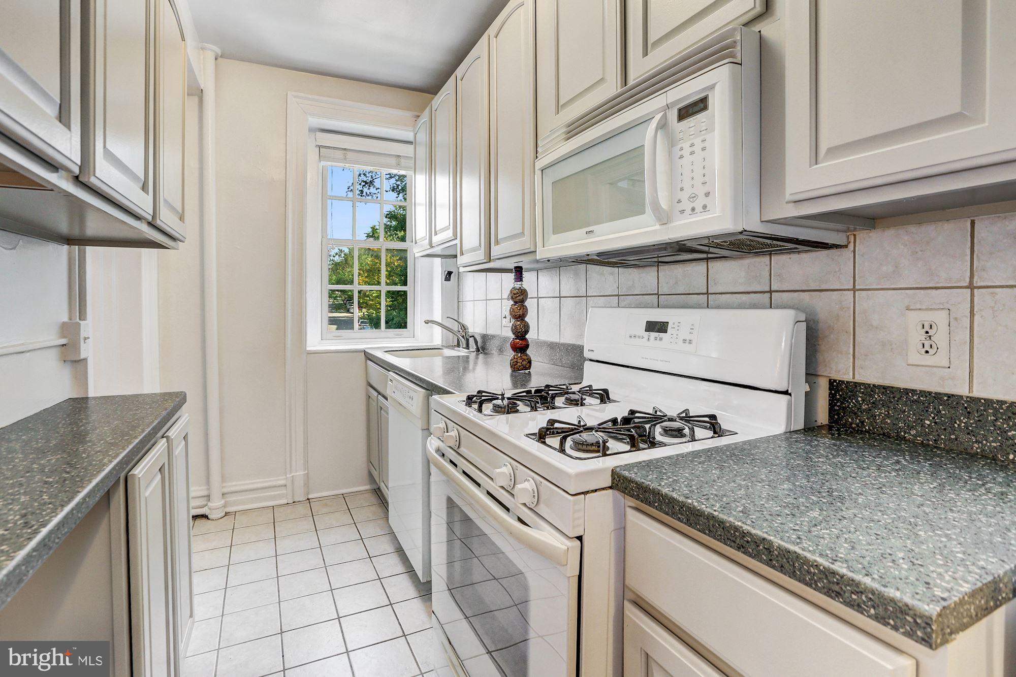2456 20th Street Northwest, Unit 203 Washington, DC 20009 - Photo 3 of 22 Kitchen