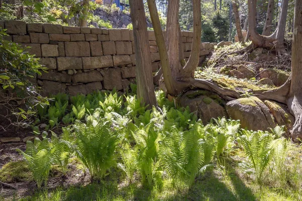 $6,900,000 | 6 Cliffhanger, Mount Desert, ME 04675