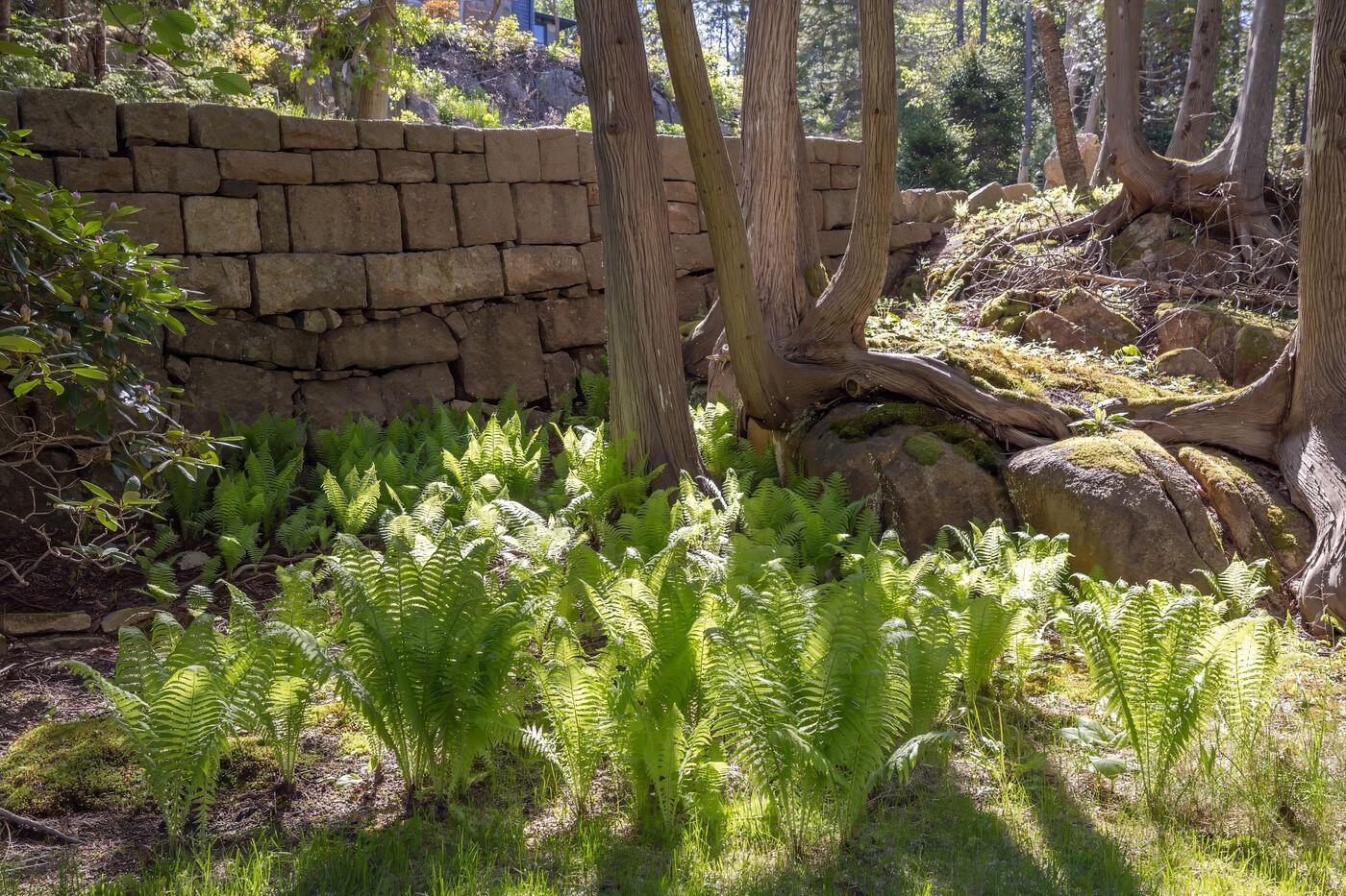 6 Cliffhanger Mount Desert, ME 04675 - Photo 66 of 82 W63-ME2749_57