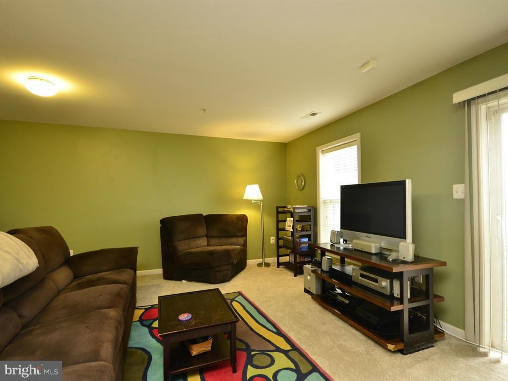 242 Timber View Court Frederick, MD 21702 - Photo 21 of 24 Basement