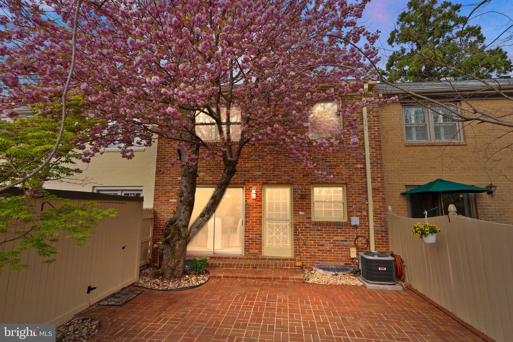 6026 Queenston Street Springfield, VA 22152 - Photo 43 of 53 a view of backyard with a large tree
