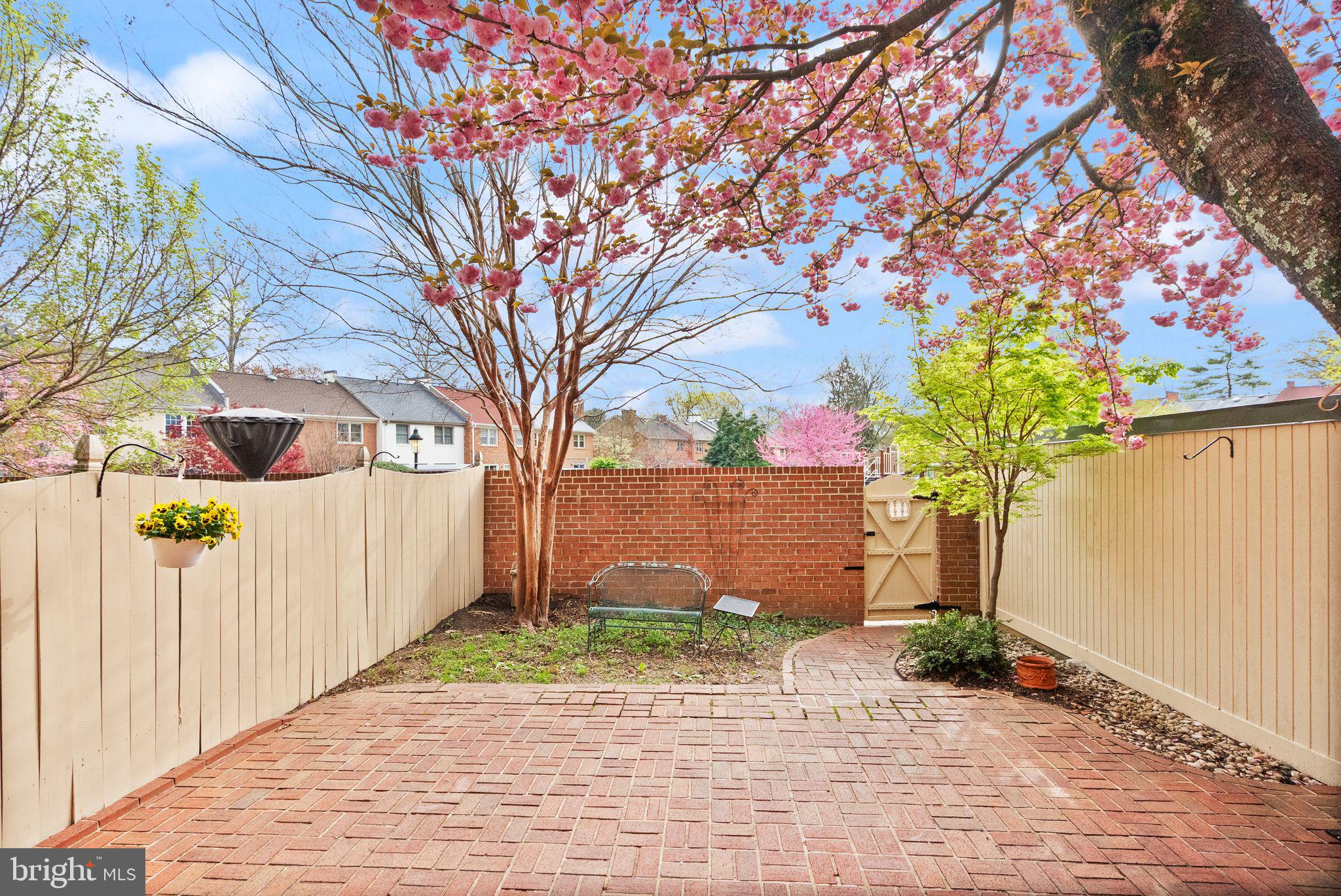6026 Queenston Street Springfield, VA 22152 - Photo 44 of 53 a front view of a house with a yard and tree s