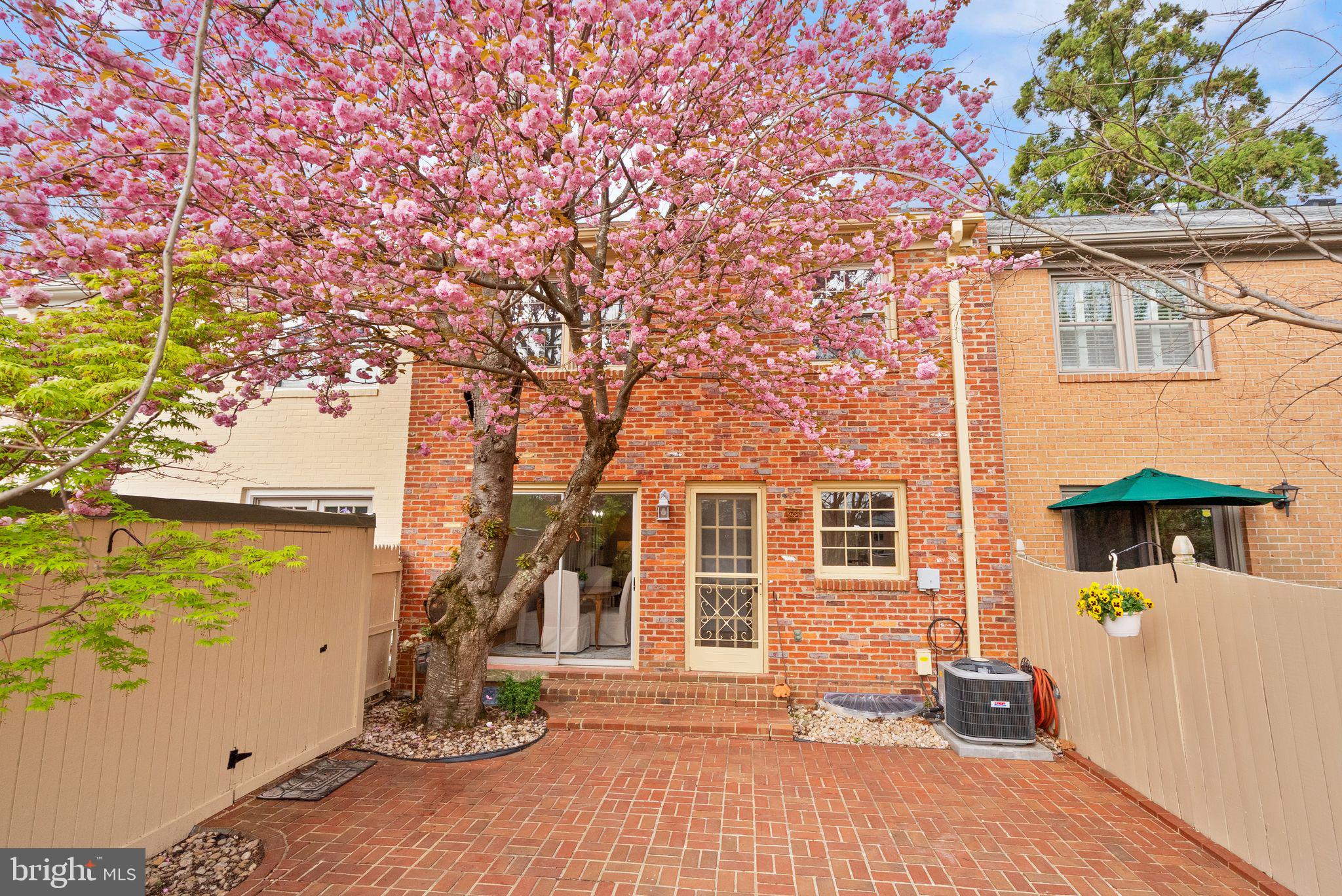6026 Queenston Street Springfield, VA 22152 - Photo 45 of 53 a front view of a house with a yard