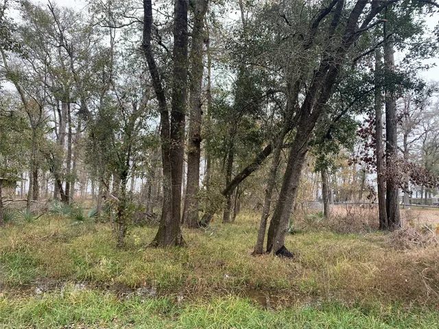 $50,000 | 0 Pinemont Drive, Guy, TX 77444