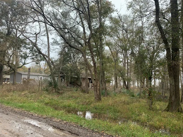 $50,000 | 0 Pinemont Drive, Guy, TX 77444