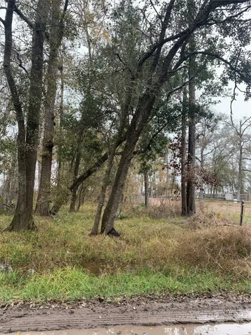 $50,000 | 0 Pinemont Drive, Guy, TX 77444