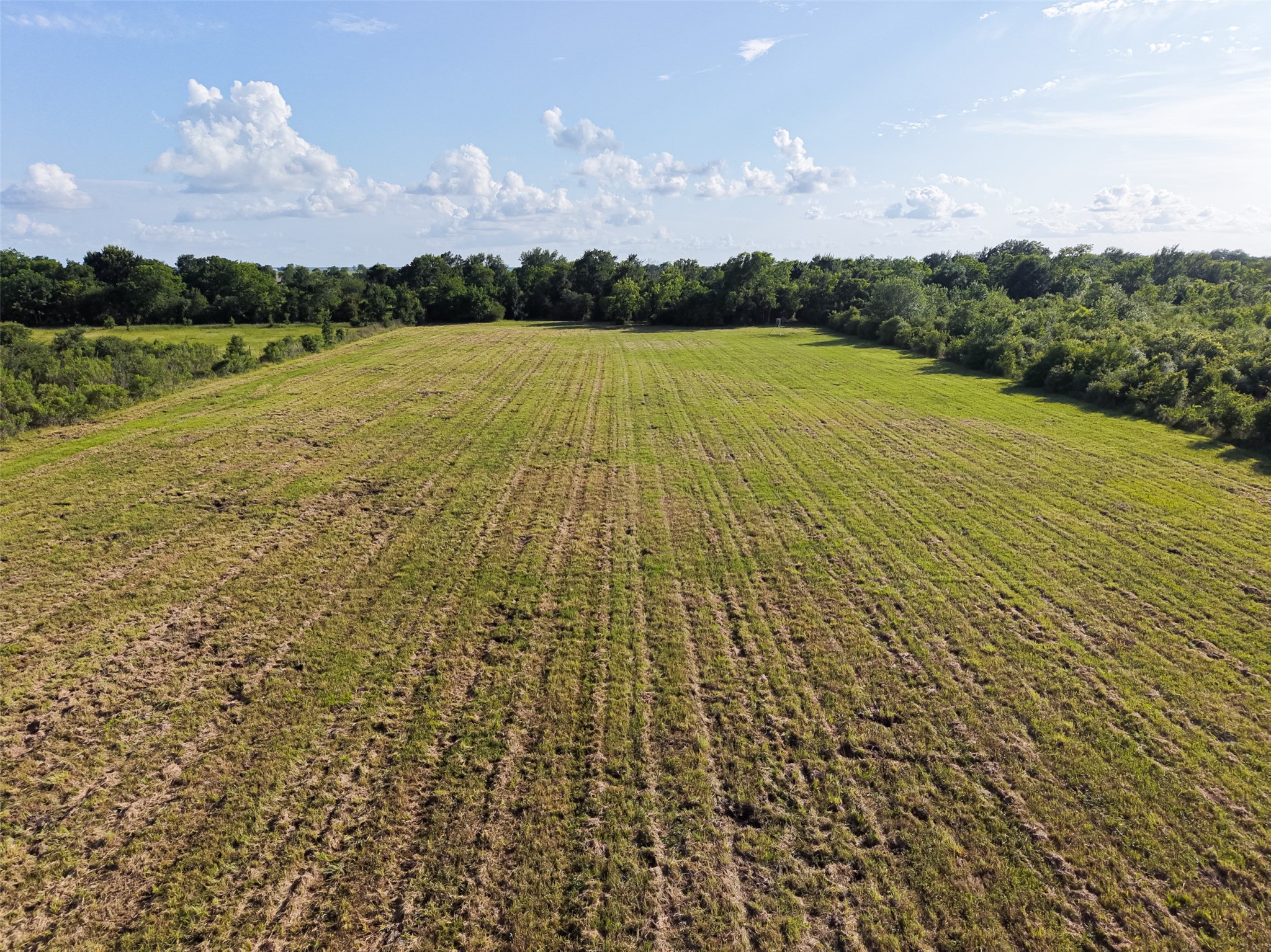 2240 Meyer Road Beasley, TX 77417 - Photo 4 of 29 Aerial view of back pasture looking toward the woods