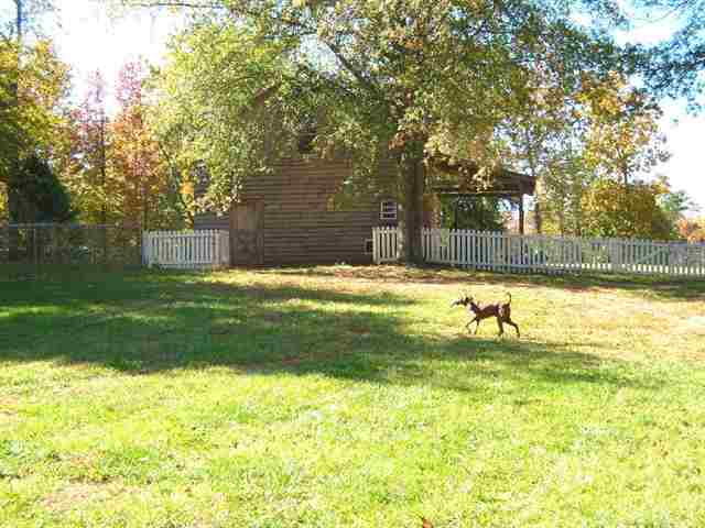 551 Bulls Road Taylors, SC 29687 - Photo 19 of 23 Gallery Image 19
