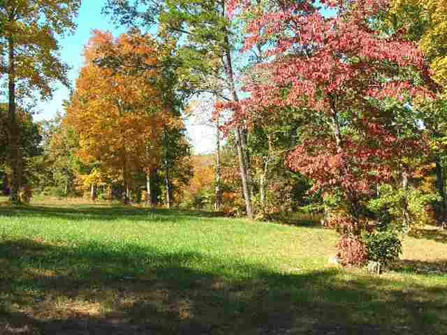 551 Bulls Road Taylors, SC 29687 - Photo 10 of 23 Gallery Image 10