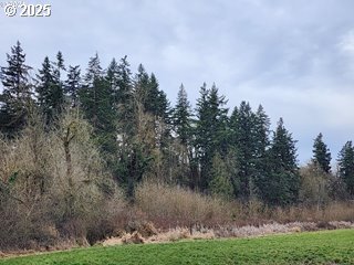 South Macksburg Canby, OR 97013 - Photo 3 of 5 a view of a town with trees in the background
