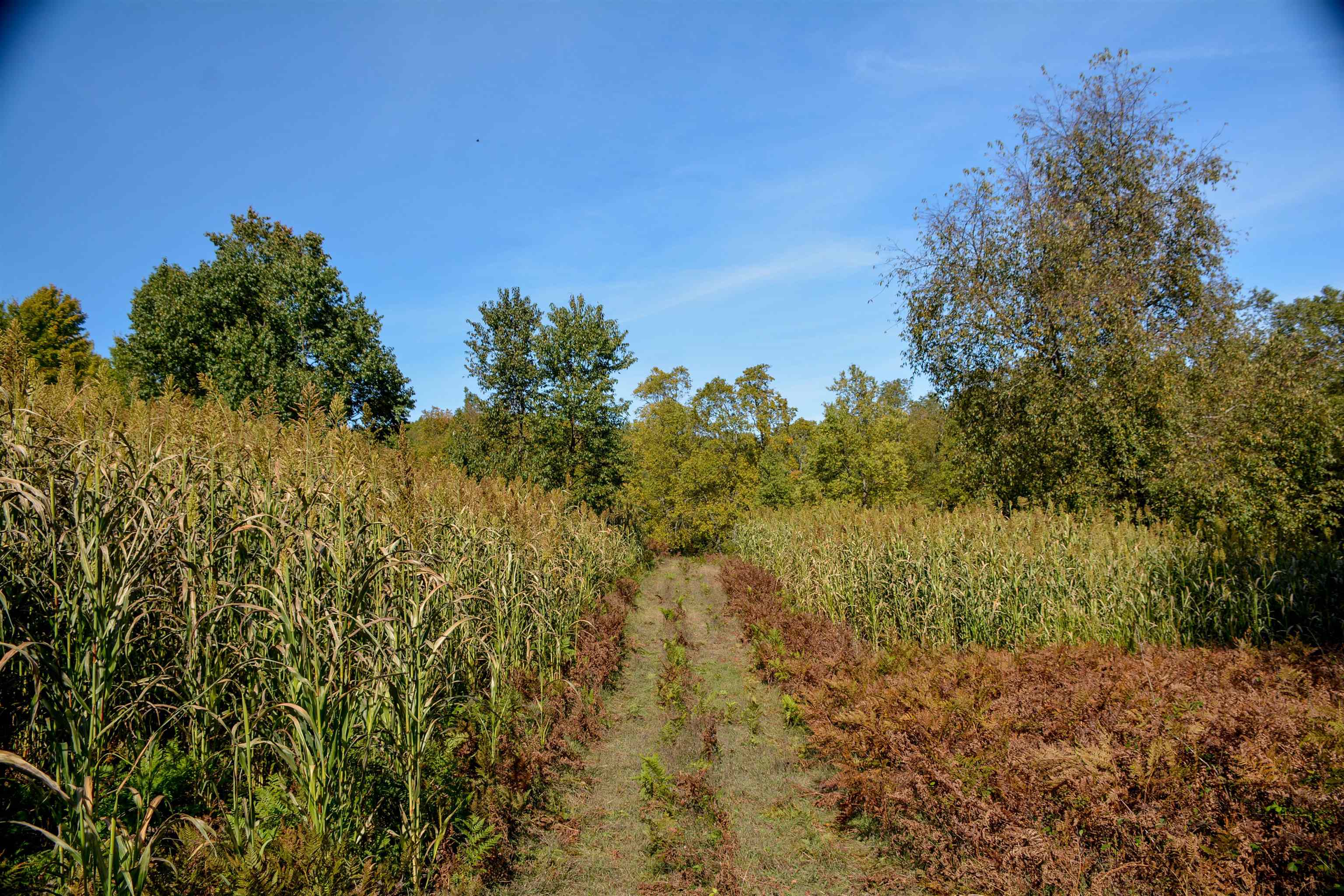 0 South Tager Road Traverse City, MI 49684 - Photo 12 of 20