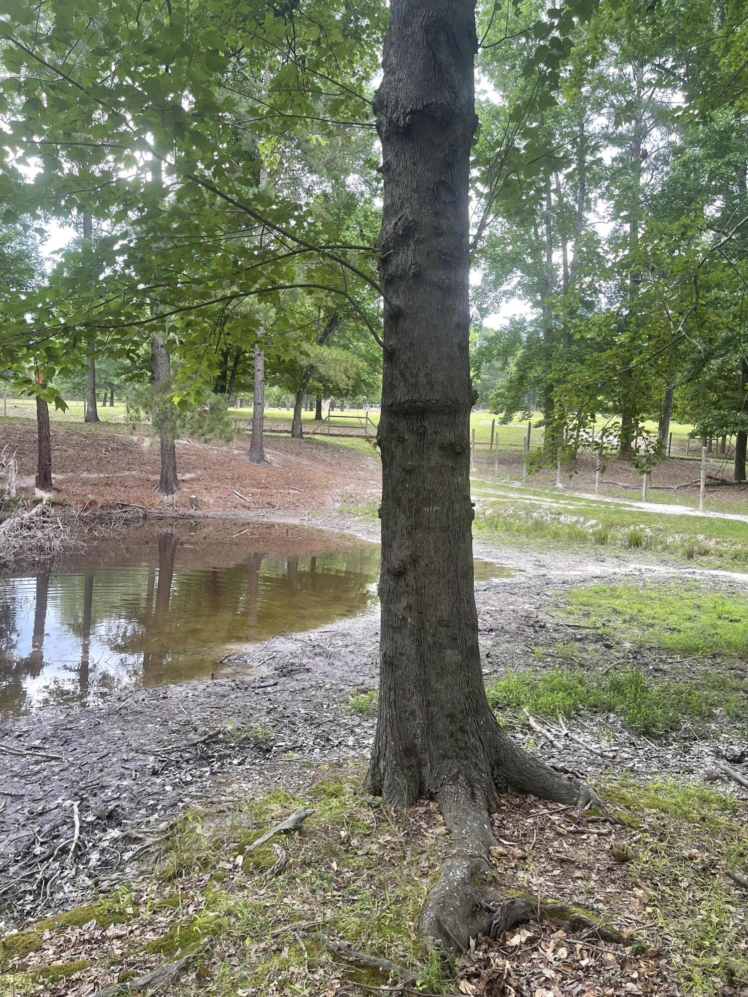 56 Geno Branch Road Camden, SC 29020 - Photo 19 of 21