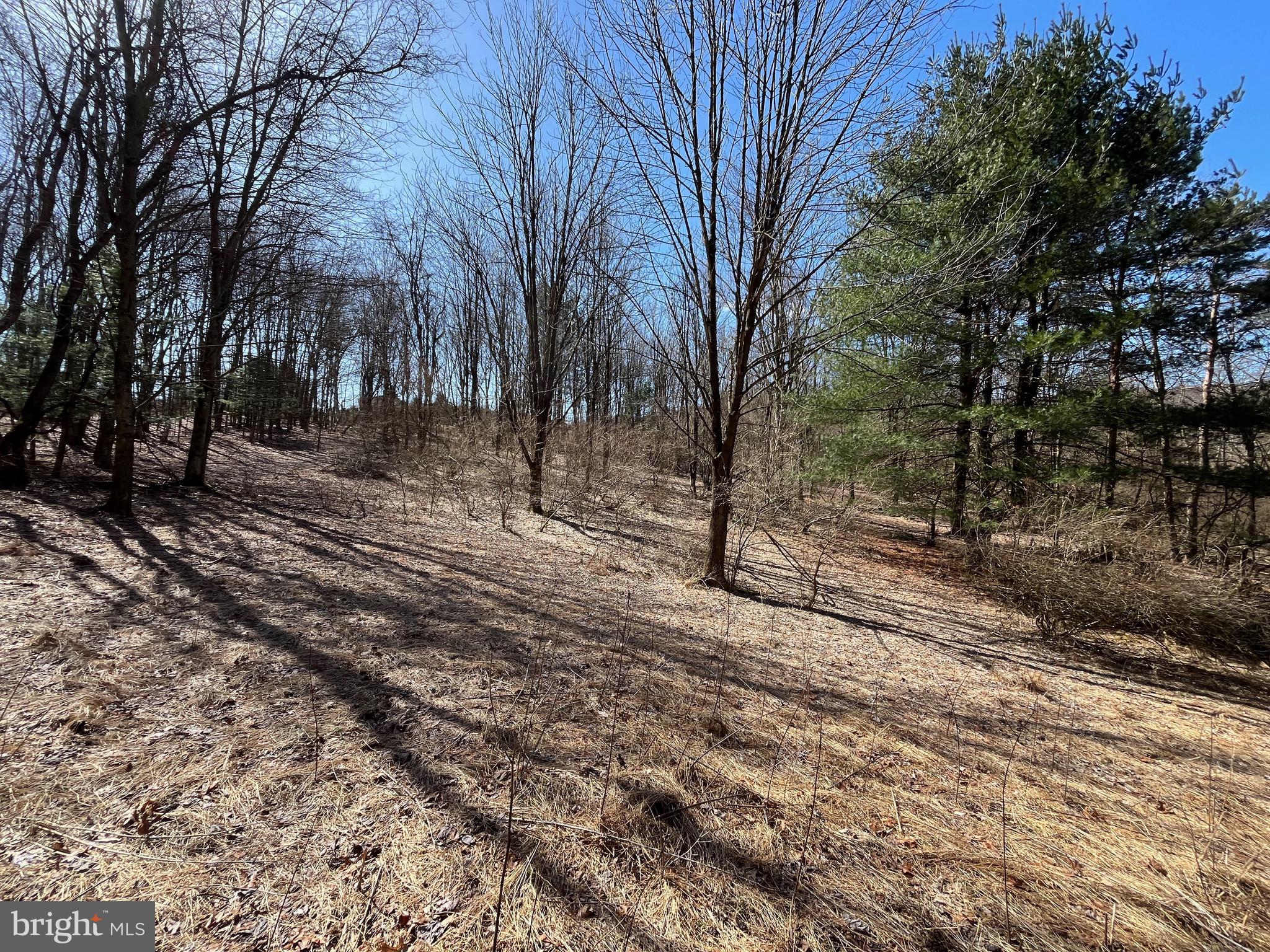 0 Clamtown Road New Ringgold, PA 17960 - Photo 3 of 9 Gallery Image 3