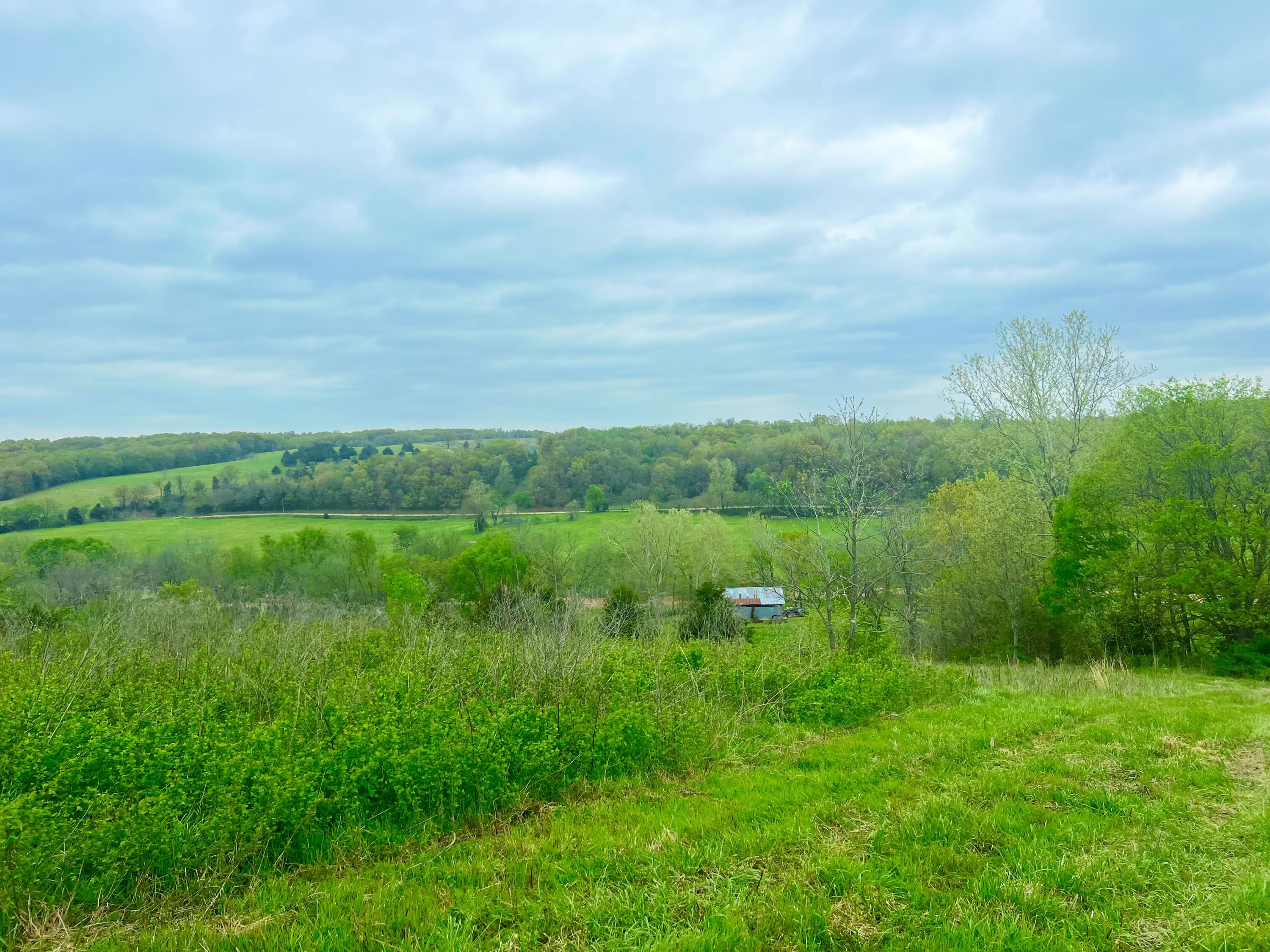 Xxx Beamon Hollow Road Goodman, MO 64843 - Photo 1 of 1 698D8CD4-8BE1-4245-BE5A-68A757DCB100