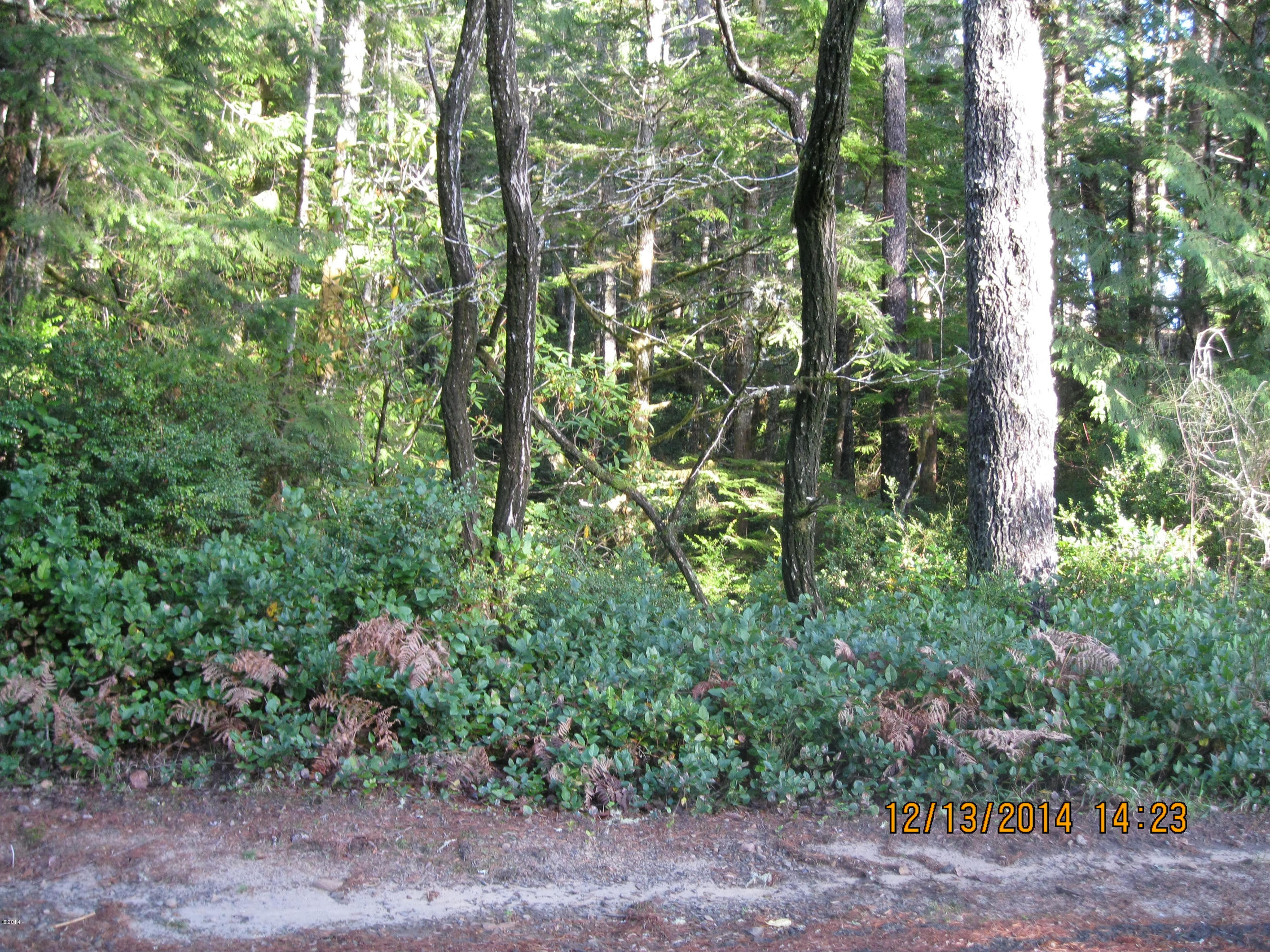 18983 Derrick Road Cloverdale, OR 97112 - Photo 2 of 3 IMG_0230