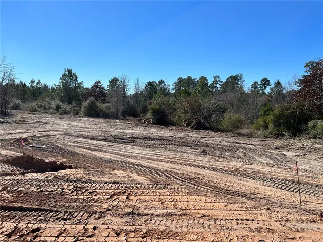 $99,900 | Lot 50 Martin Lane, Paige, TX 78659