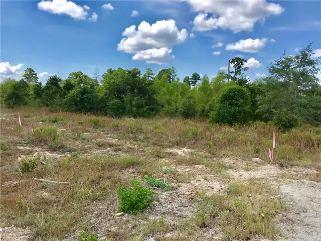a view of a yard with a house