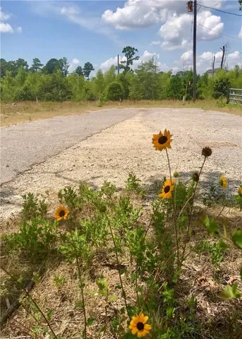 a view of a ocean with beach