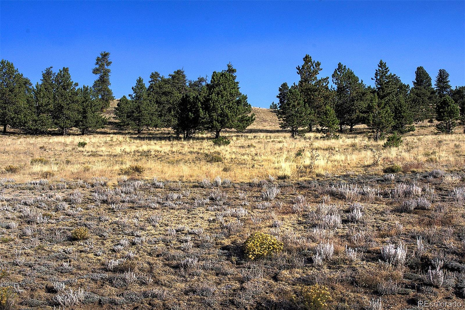 9128 B Elkhorn Road Como, CO 80432 - Photo 6 of 8