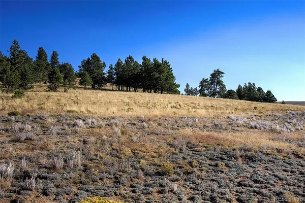 $126,500 | 9128 B Elkhorn Road, Como, CO 80432