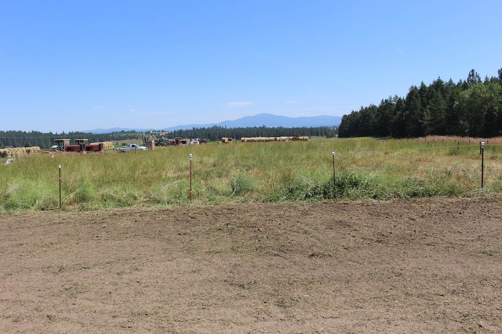 25910 North Monroe Road Deer Park, WA 99006 - Photo 27 of 28 Gallery Image 27