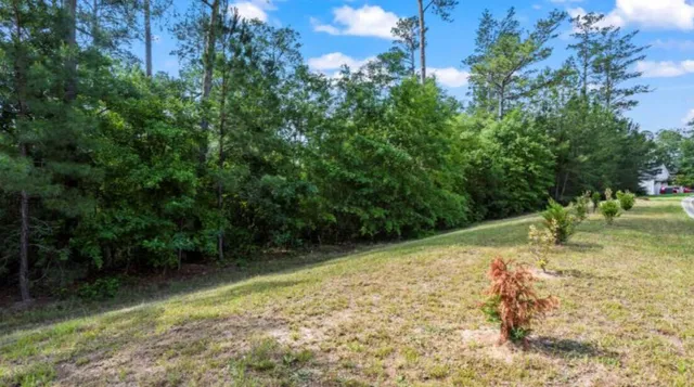 $38,600 | Lot S-17 Scarborough Pass, Aiken, SC 29801