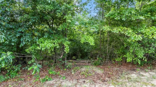 $38,600 | Lot S-17 Scarborough Pass, Aiken, SC 29801