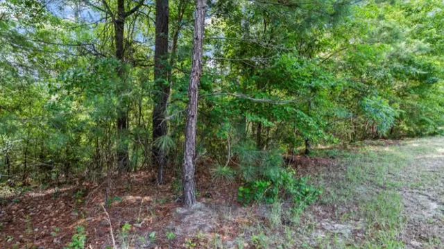 $38,600 | Lot S-17 Scarborough Pass, Aiken, SC 29801