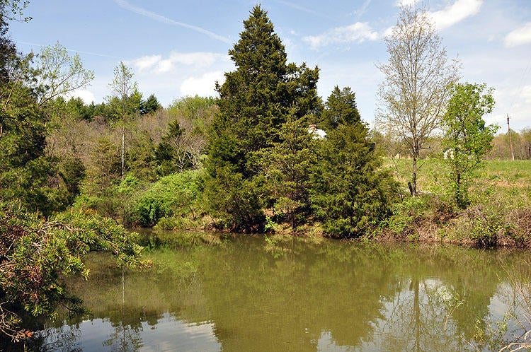 100 Baker Mountain Road Union, WV 24983 - Photo 11 of 52 Gallery Image 11