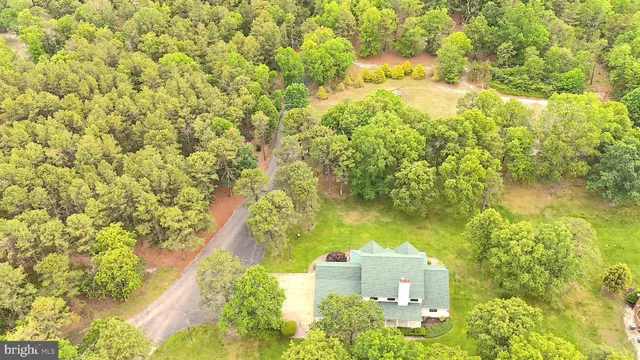 a view of a swimming pool with lawn chairs and large trees