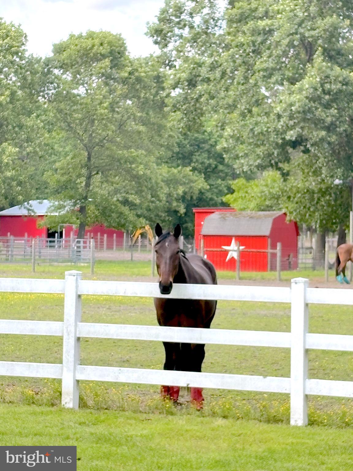 3138-3142 Moss Mill Road Hammonton, NJ 08037 - Photo 4 of 73 a front view of a house with a yard
