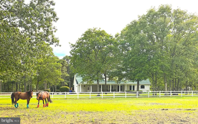 a front view of house with yard and outdoor seating