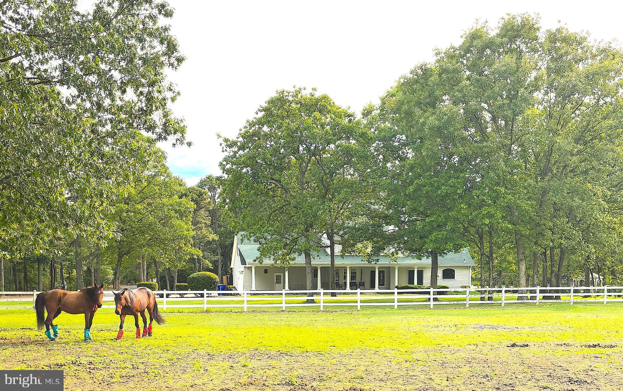 3138-3142 Moss Mill Road Hammonton, NJ 08037 - Photo 5 of 73 a view of a swimming pool with lawn chairs and large trees