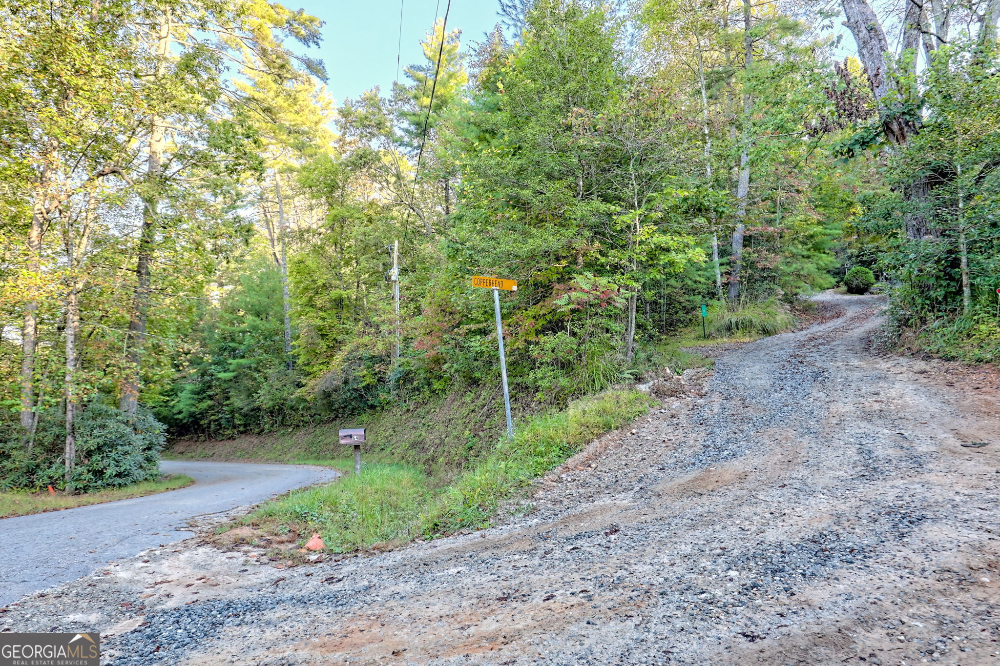 11 Copperhead Lane Clayton, GA 30525 - Photo 21 of 25 a big yard with lots of green space and plants