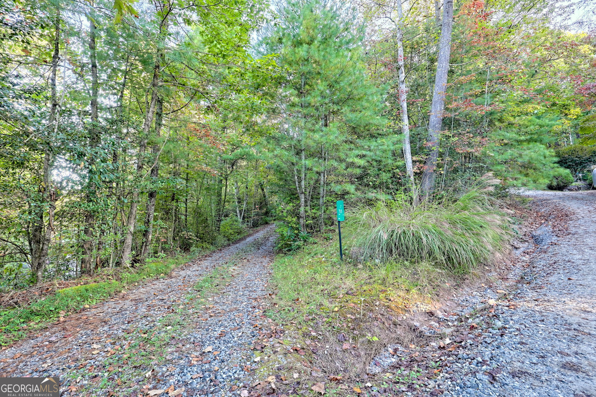 11 Copperhead Lane Clayton, GA 30525 - Photo 22 of 25 a view of a forest filled with trees
