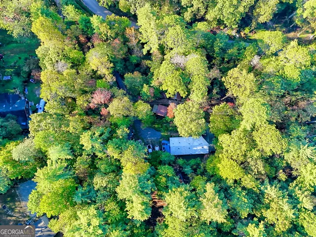 a view of a bunch of flowers