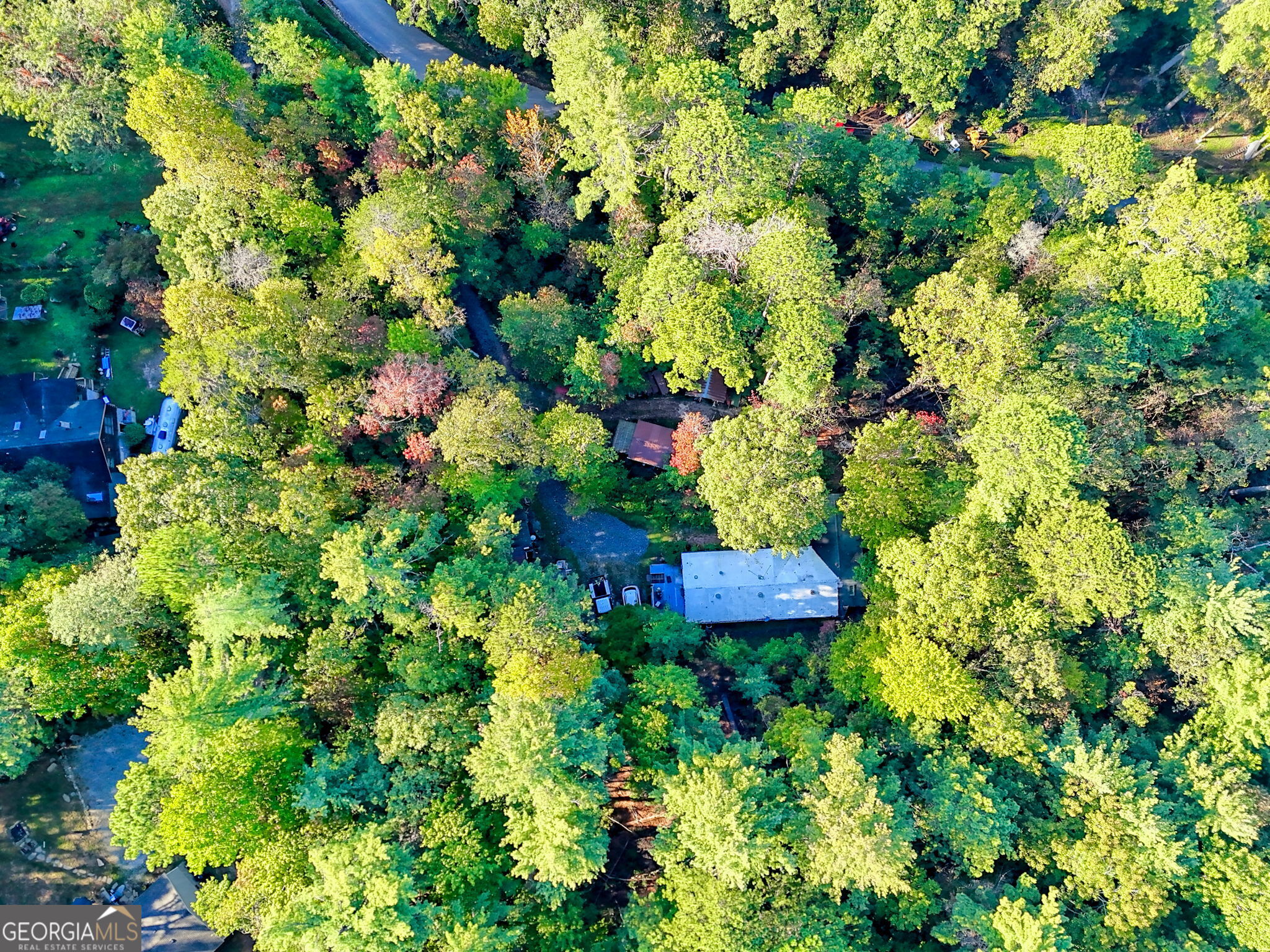 11 Copperhead Lane Clayton, GA 30525 - Photo 23 of 25 a view of a flower in a garden