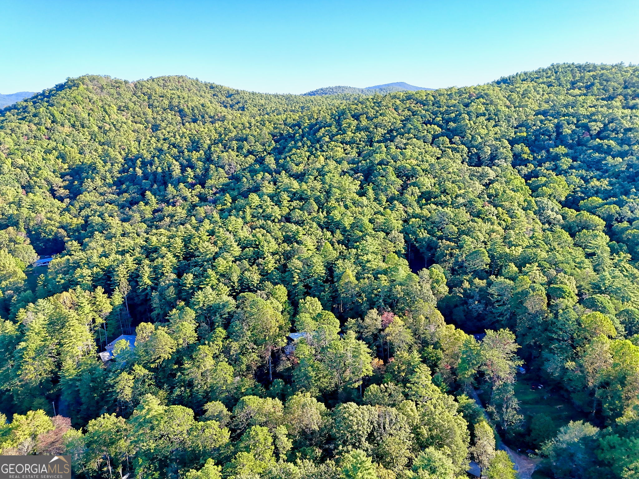 11 Copperhead Lane Clayton, GA 30525 - Photo 24 of 25 a view of a bunch of flowers