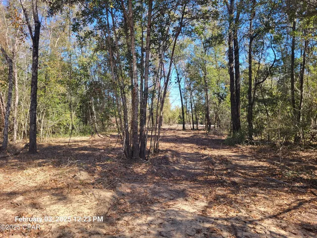 $39,900 | 0 Tommy Tucker Road, Unit LOT 3, Altha, FL 32421