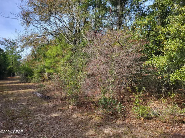 $39,900 | 0 Tommy Tucker Road, Unit LOT 3, Altha, FL 32421