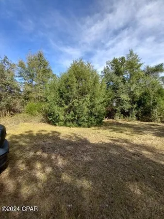 $39,900 | 0 Tommy Tucker Road, Unit LOT 3, Altha, FL 32421
