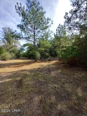 $39,900 | 0 Tommy Tucker Road, Unit LOT 3, Altha, FL 32421
