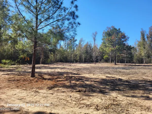 $39,900 | 0 Tommy Tucker Road, Unit LOT 3, Altha, FL 32421