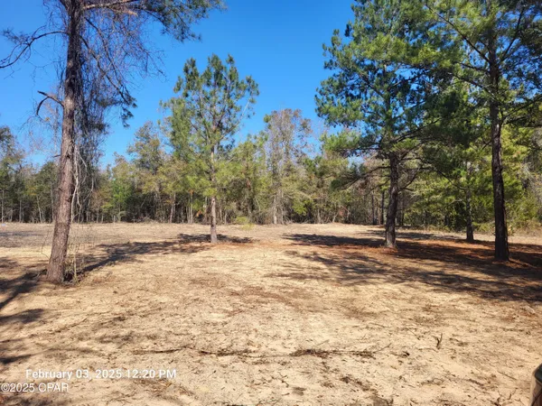 $39,900 | 0 Tommy Tucker Road, Unit LOT 3, Altha, FL 32421