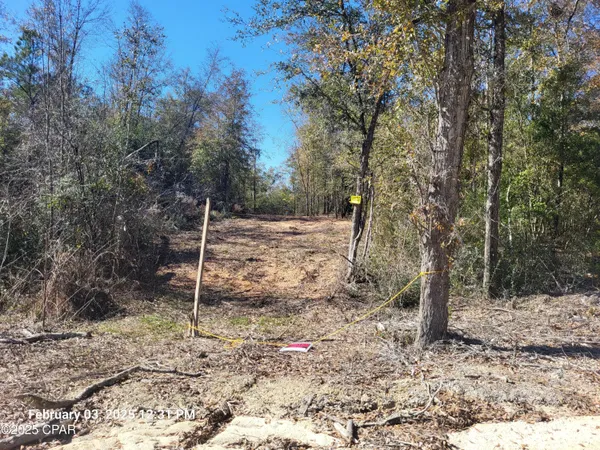 $39,900 | 0 Tommy Tucker Road, Unit LOT 3, Altha, FL 32421