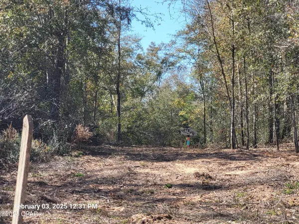 $39,900 | 0 Tommy Tucker Road, Unit LOT 3, Altha, FL 32421