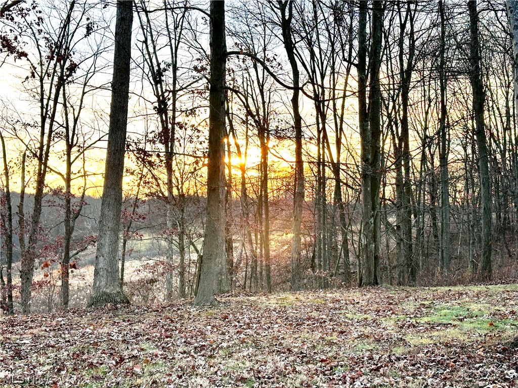 50748 Shenandoah Road Caldwell, OH 43724 - Photo 26 of 43 View of nature at dusk