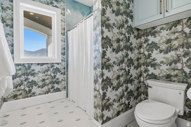115 East Hidden Ridge Lane, Unit 42 Mapleton, UT 84664 - Photo 45 of 103 Bathroom featuring tree-patterned wallpaper, light blue upper cabinetry with gold-toned hardware, and a white toilet